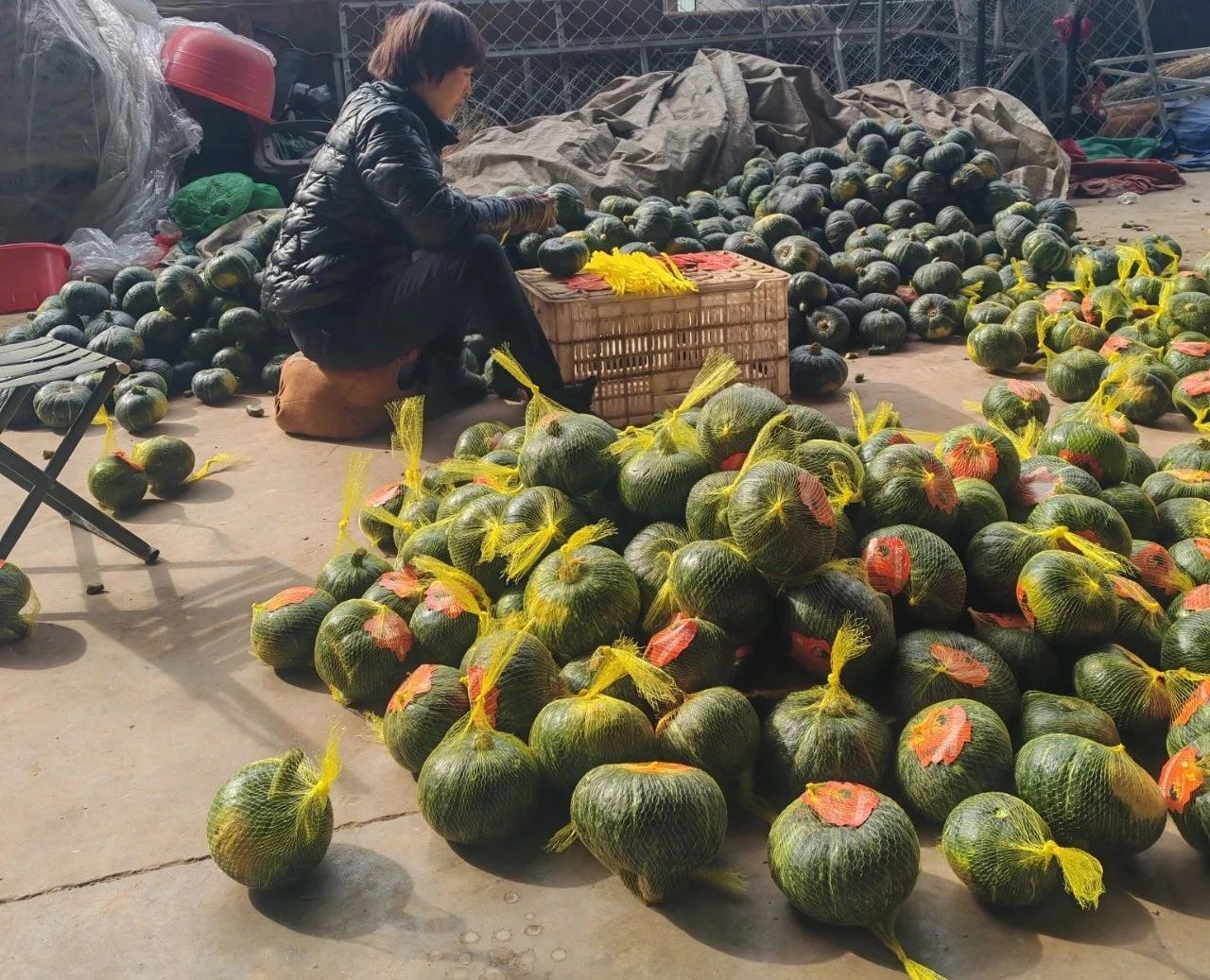 微信图片_20250309084430.jpg